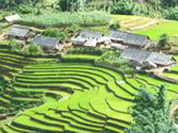 Sapa Vietnam Tour